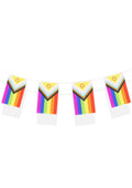 Progress Pride LGBTQ+ Flag Bunting (4.5m)