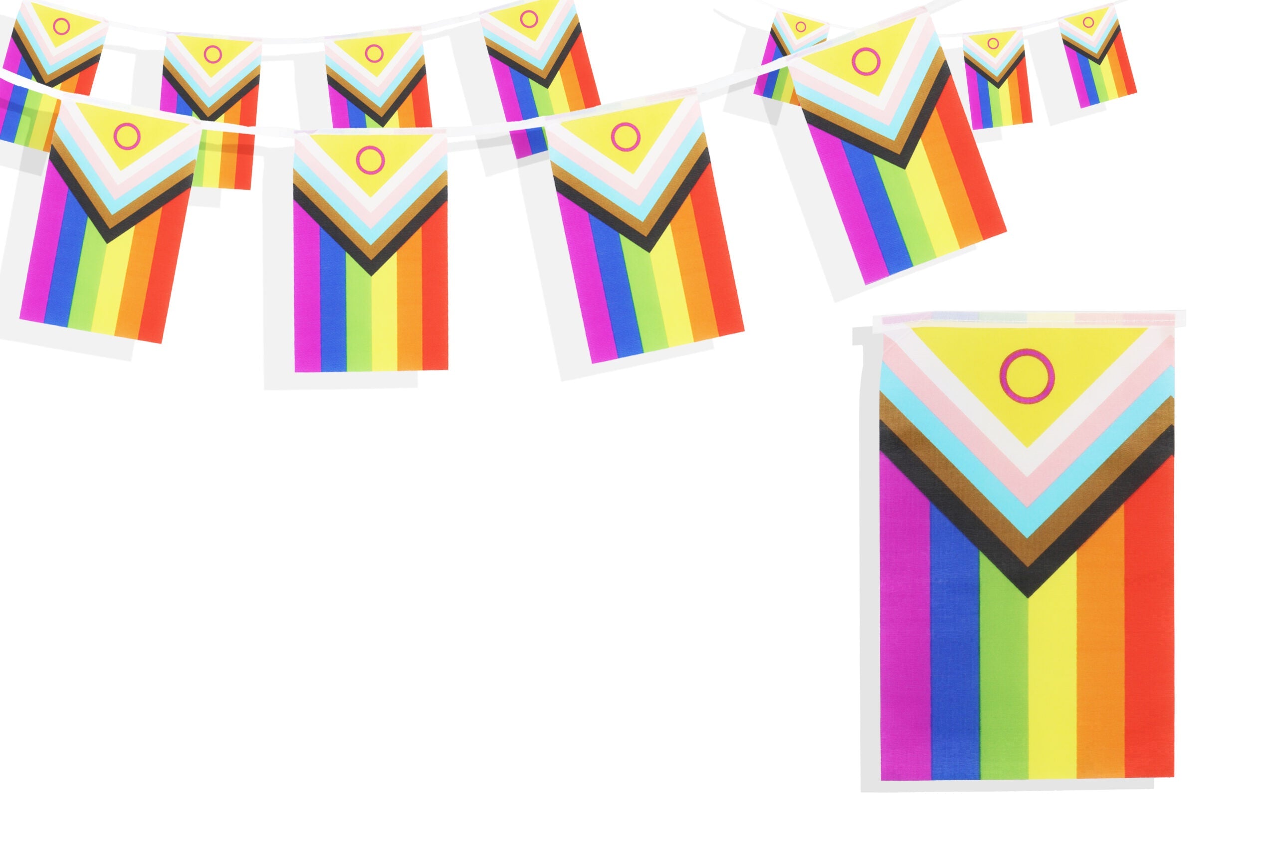Progress Pride LGBTQ+ Flag Bunting (4.5m)